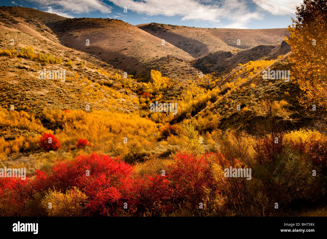 South fork of boise river hires stock photography and images Alamy