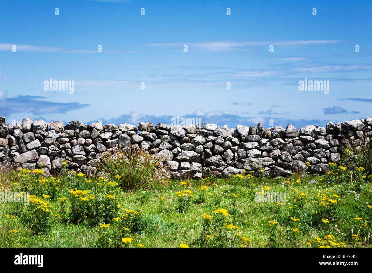 Irish stone wall hires stock photography and images Alamy