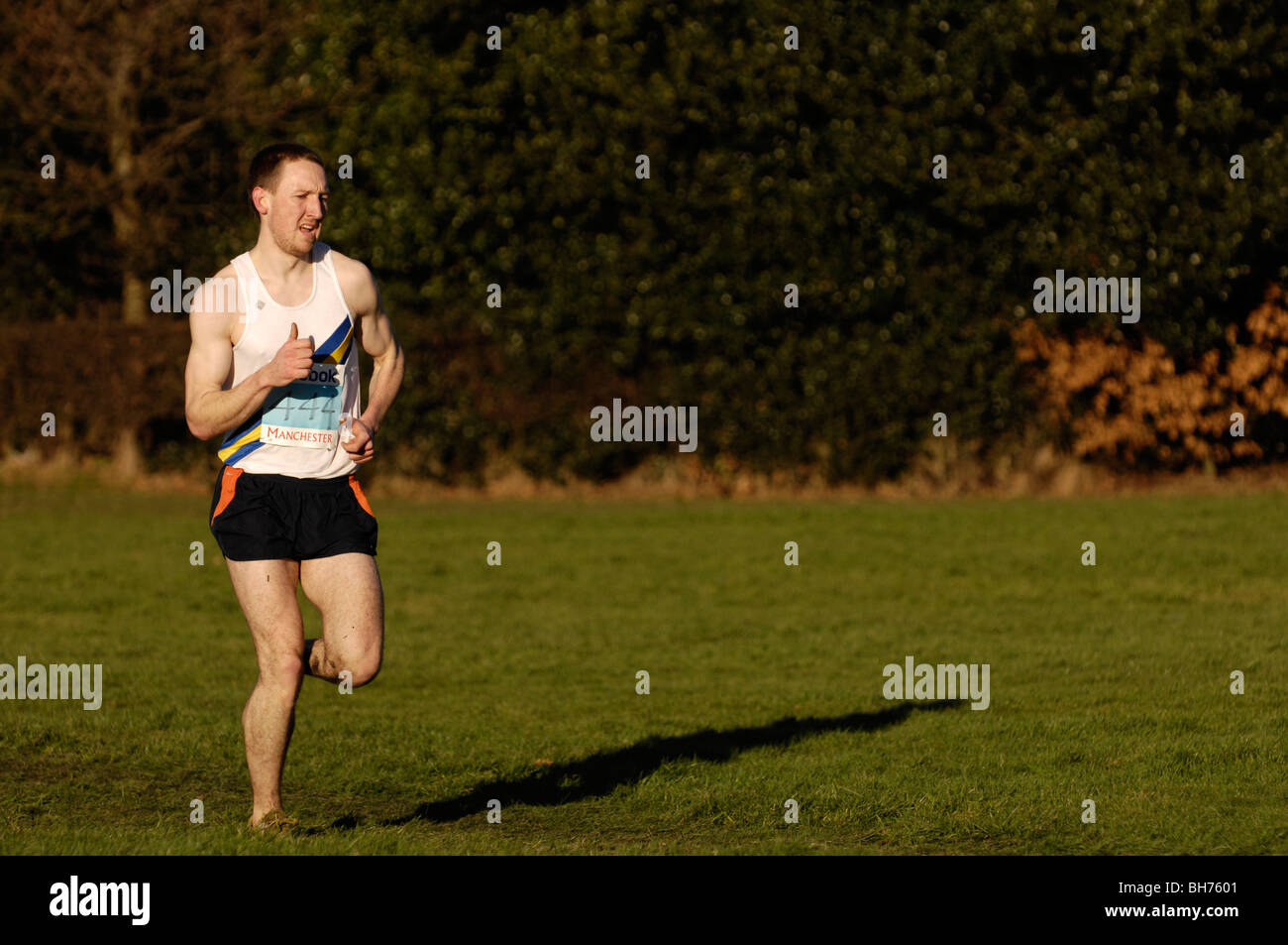 male crosscountry runner Stock Photo Alamy