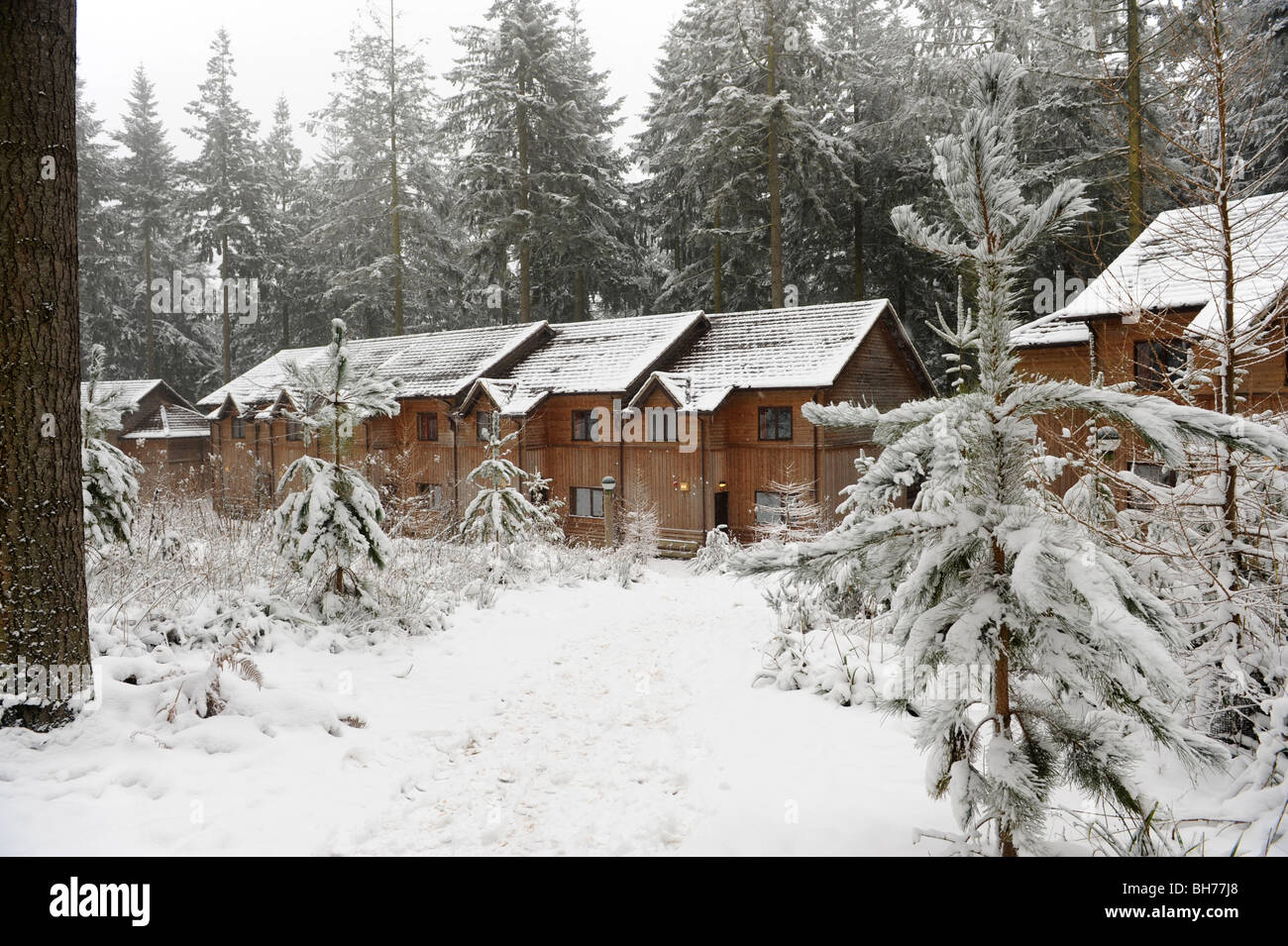 A winter wonderland at Centre Parcs Longleat Forest in the snow Stock Photo