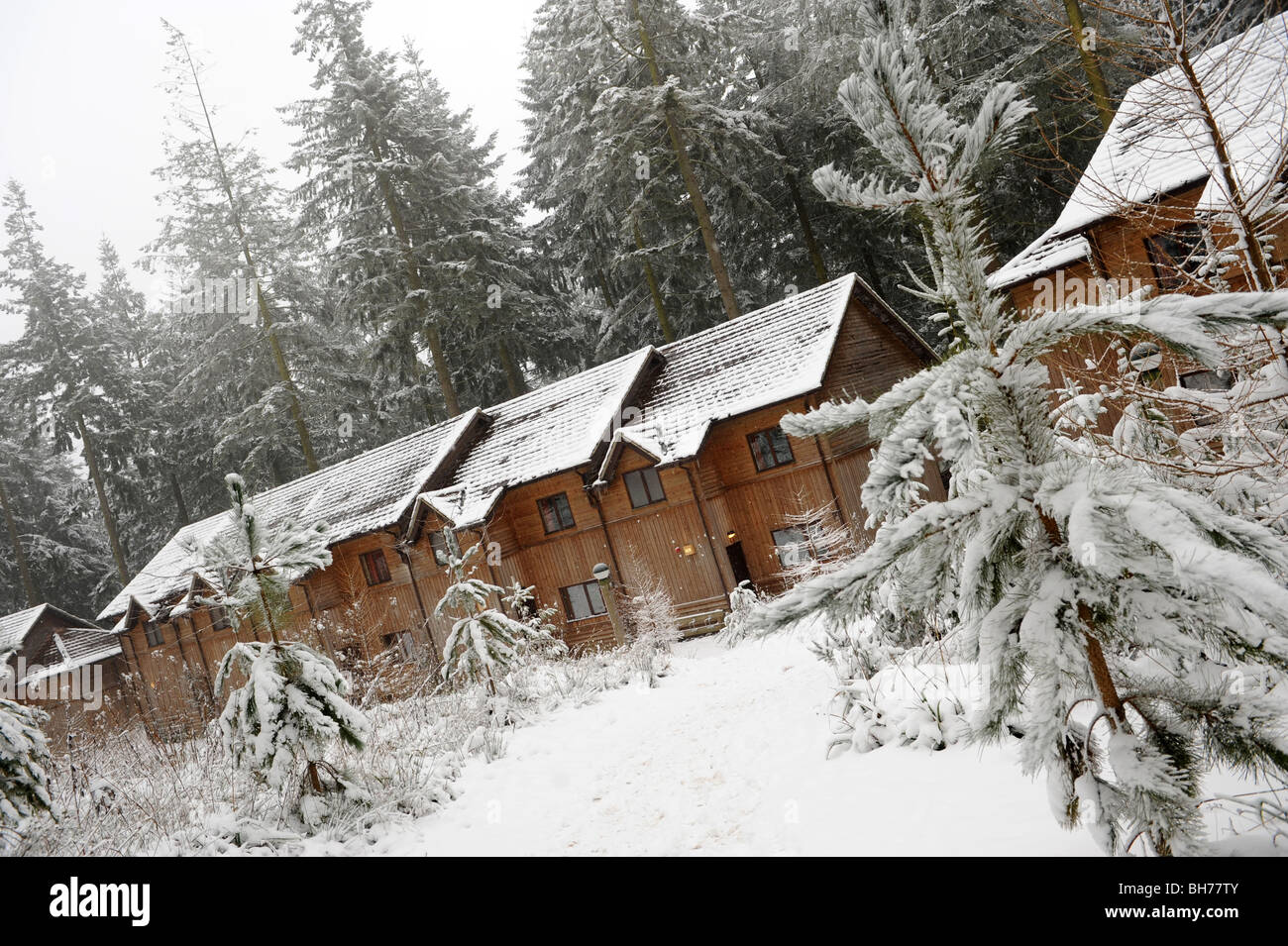 A winter wonderland at Centre Parcs Longleat Forest in the snow Stock Photo