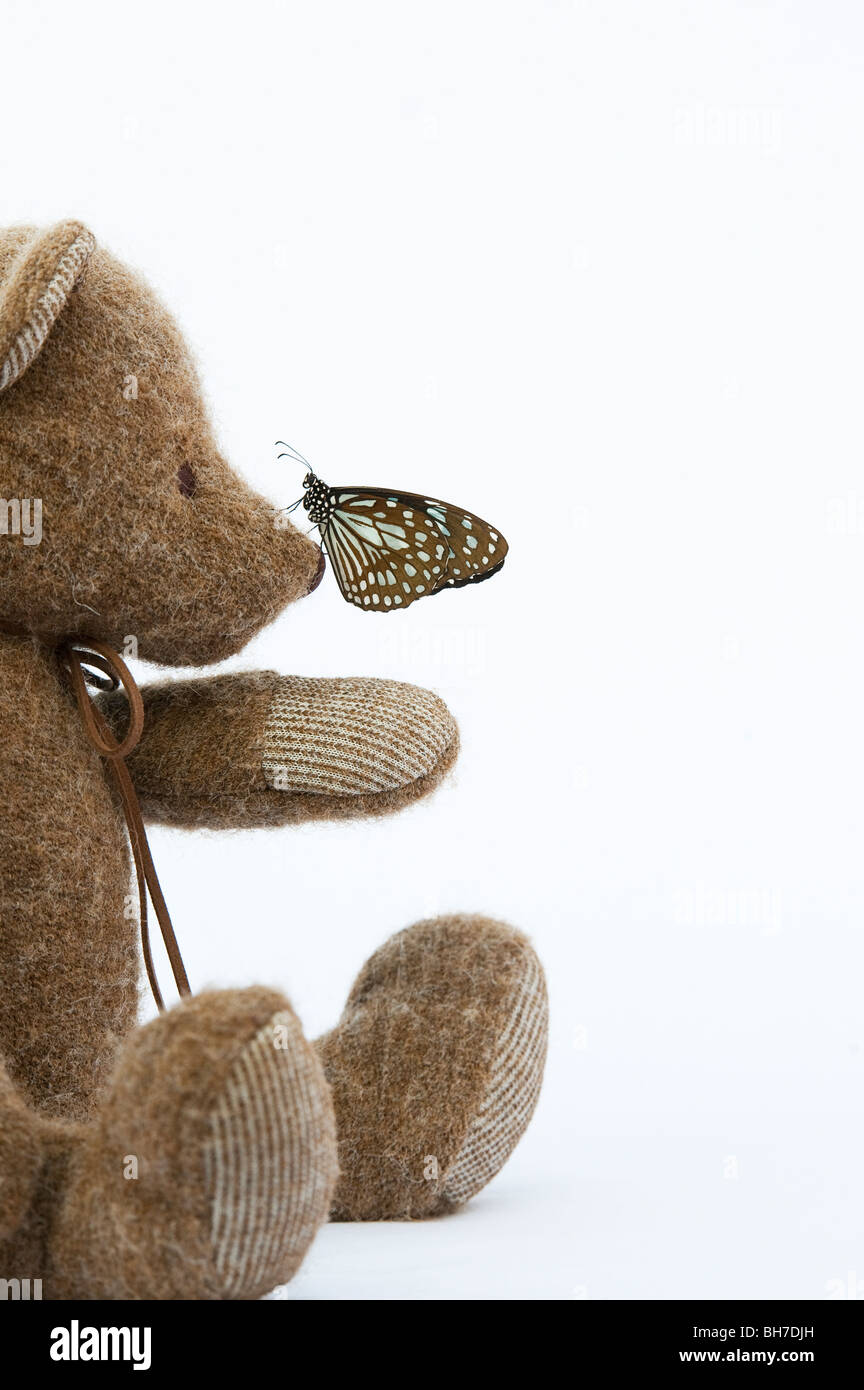 teddy bear butterfly