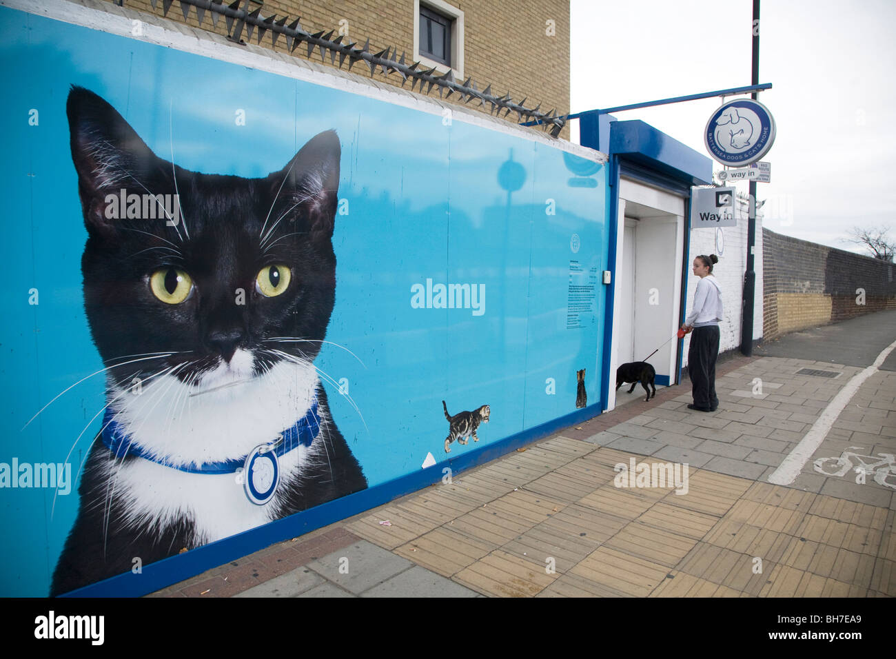 Battersea Dogs and cats Home London Stock Photo Alamy
