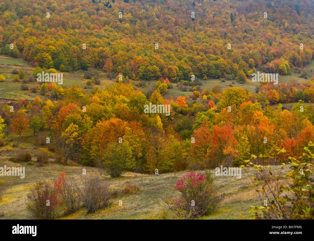 Croatia, Velebit mountain range autumn colours Stock Photo
