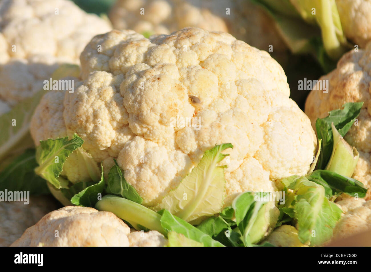 Cauliflower in a spanish local market Stock Photo Alamy