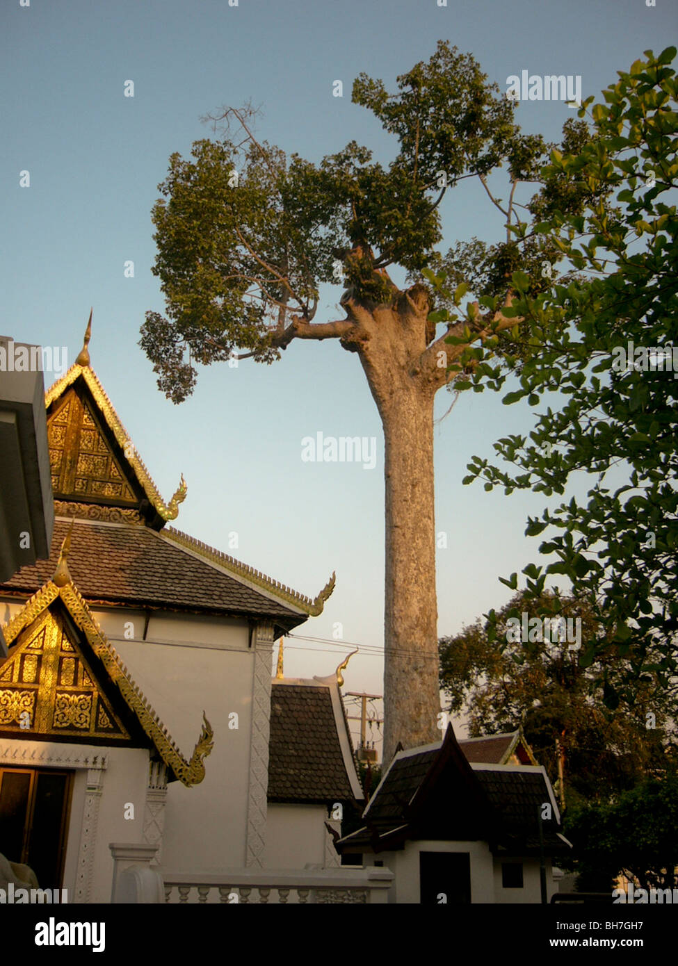 Thailand Islands Monuments parks Trees Stock Photo