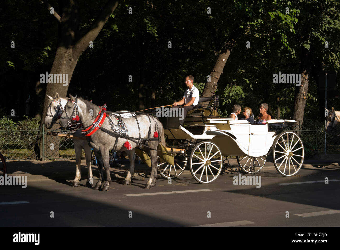 White horse old carriage hi-res stock photography and images - Alamy