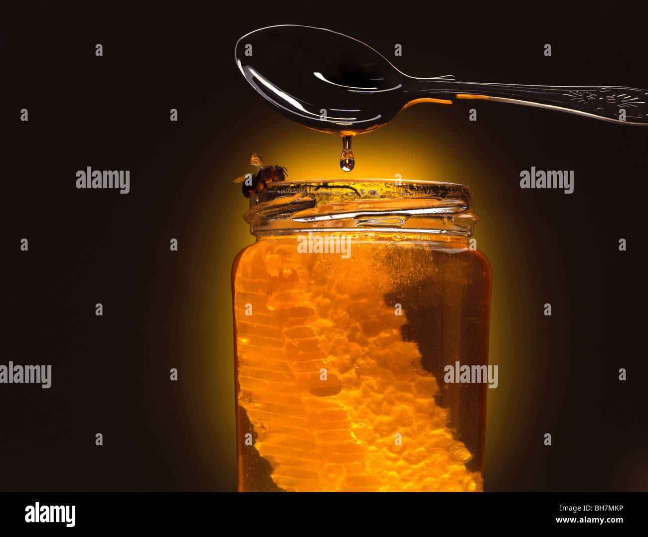 https://c8.alamy.com/comp/BH7MKP/honey-jar-with-large-honeycomb-and-bee-clinging-on-the-top-edge-and-BH7MKP.jpg