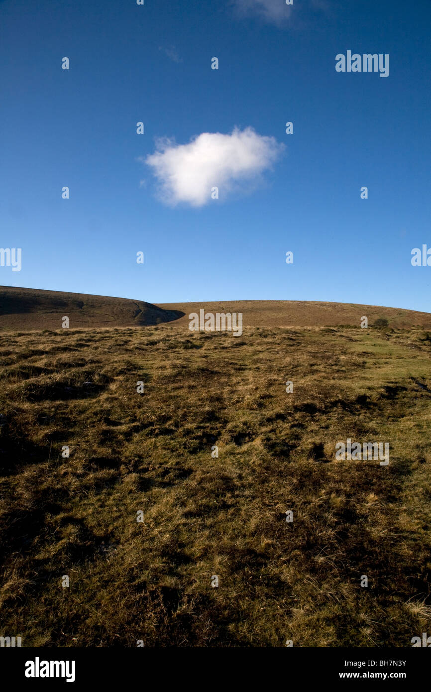 Dartmoor landscape Stock Photo