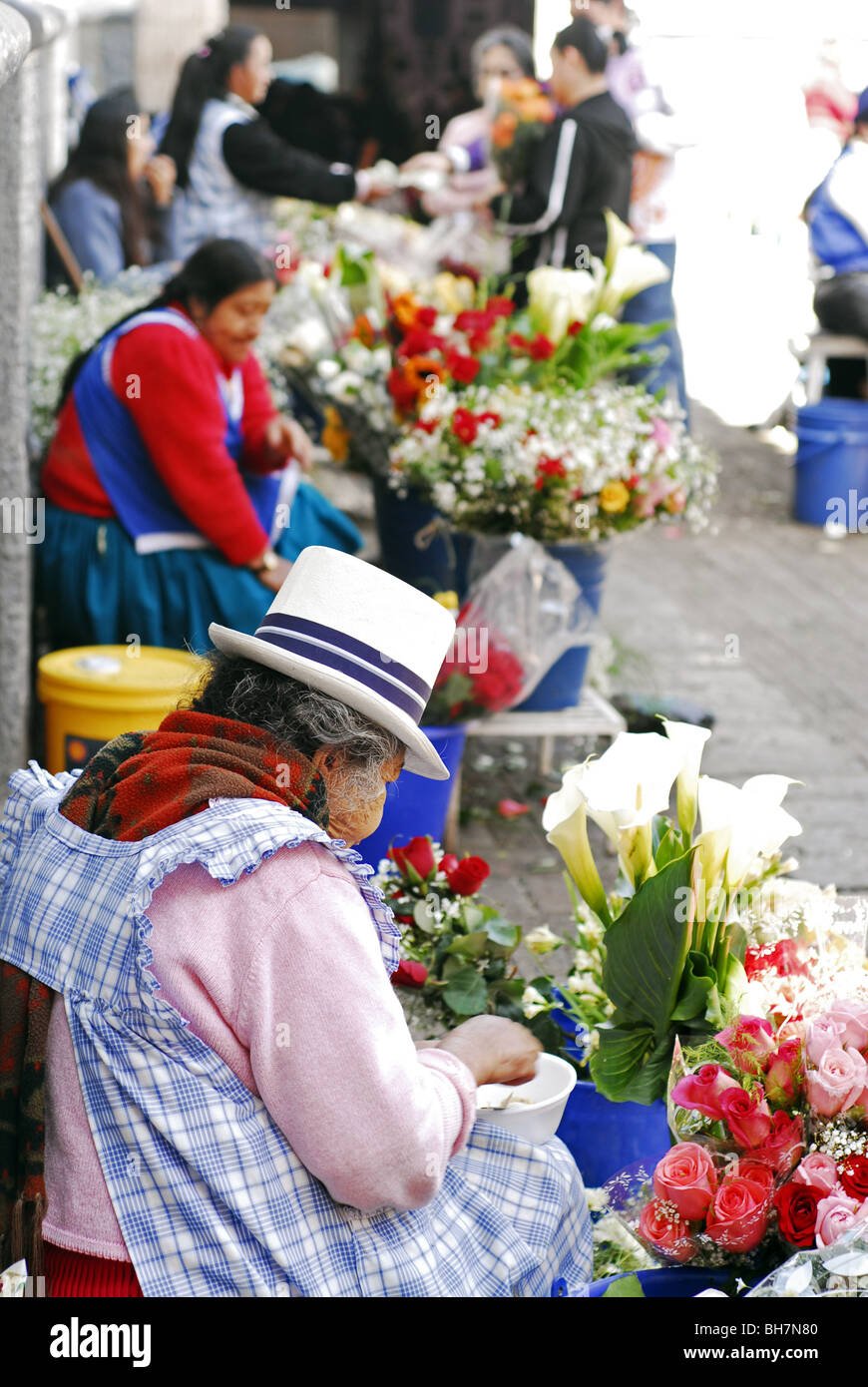 Ecuador, Cuenca, view of old women selling bunches of flowers in flower market, leaning back on a wall Stock Photo