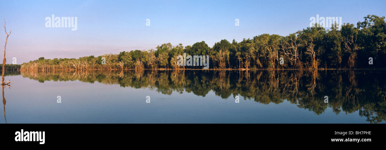 Billabong on the Daly River, 'Northern Territory' Australia Stock Photo