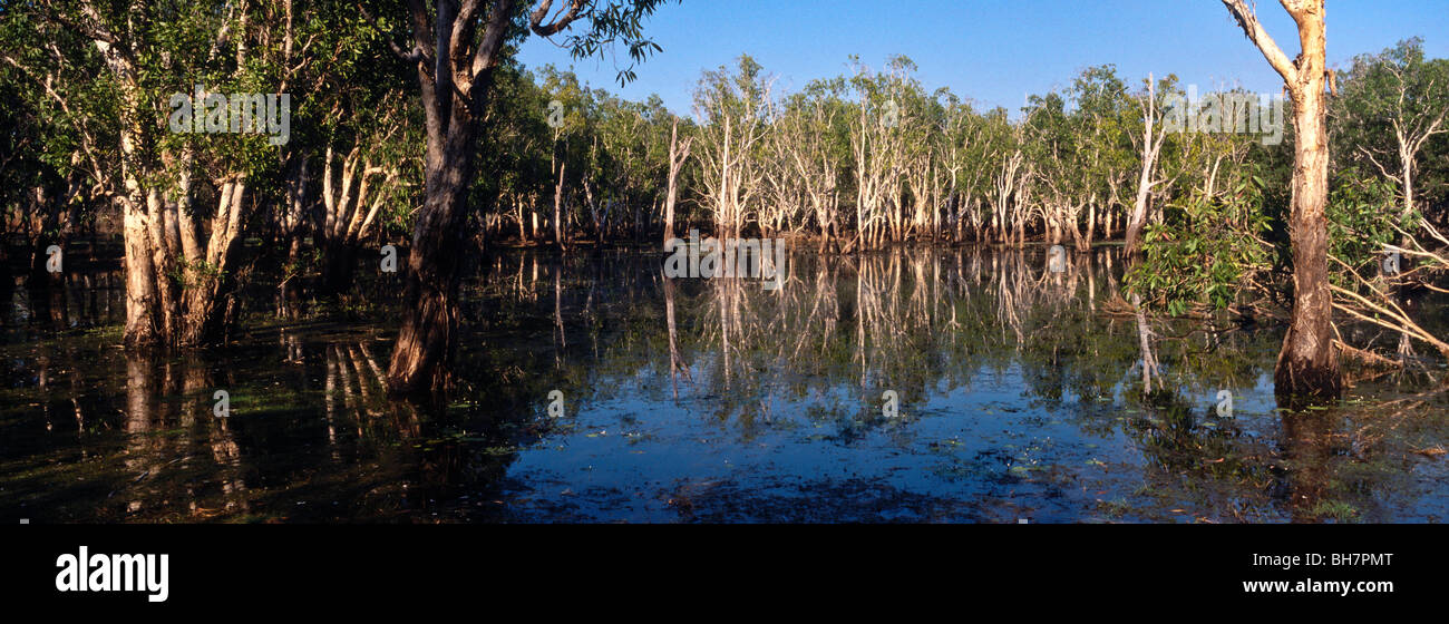 Billabong on the Daly River, 'Northern Territory' Australia Stock Photo