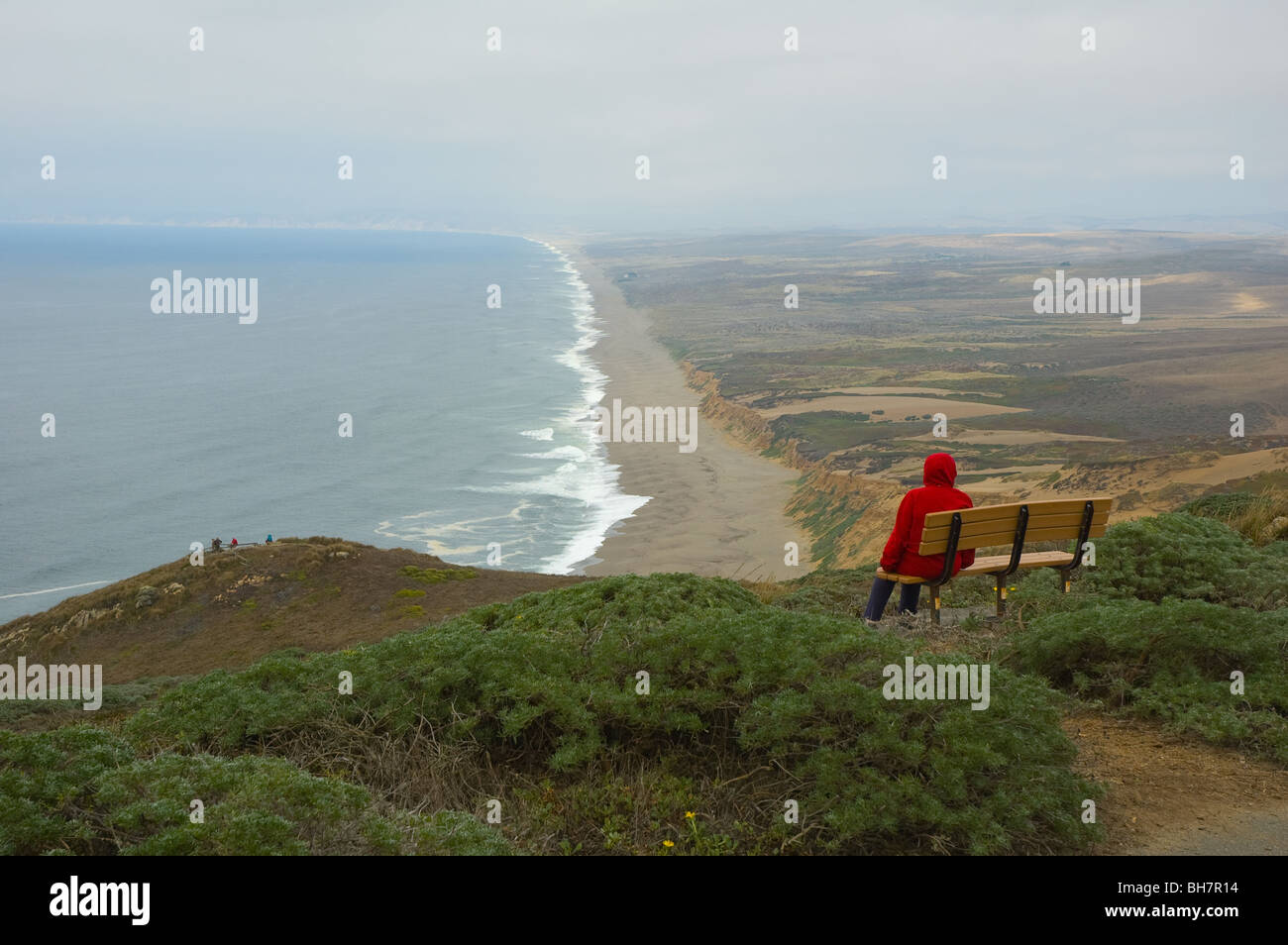 Woman overlooking coastline at Point Reyes National Seashore, California USA Stock Photo