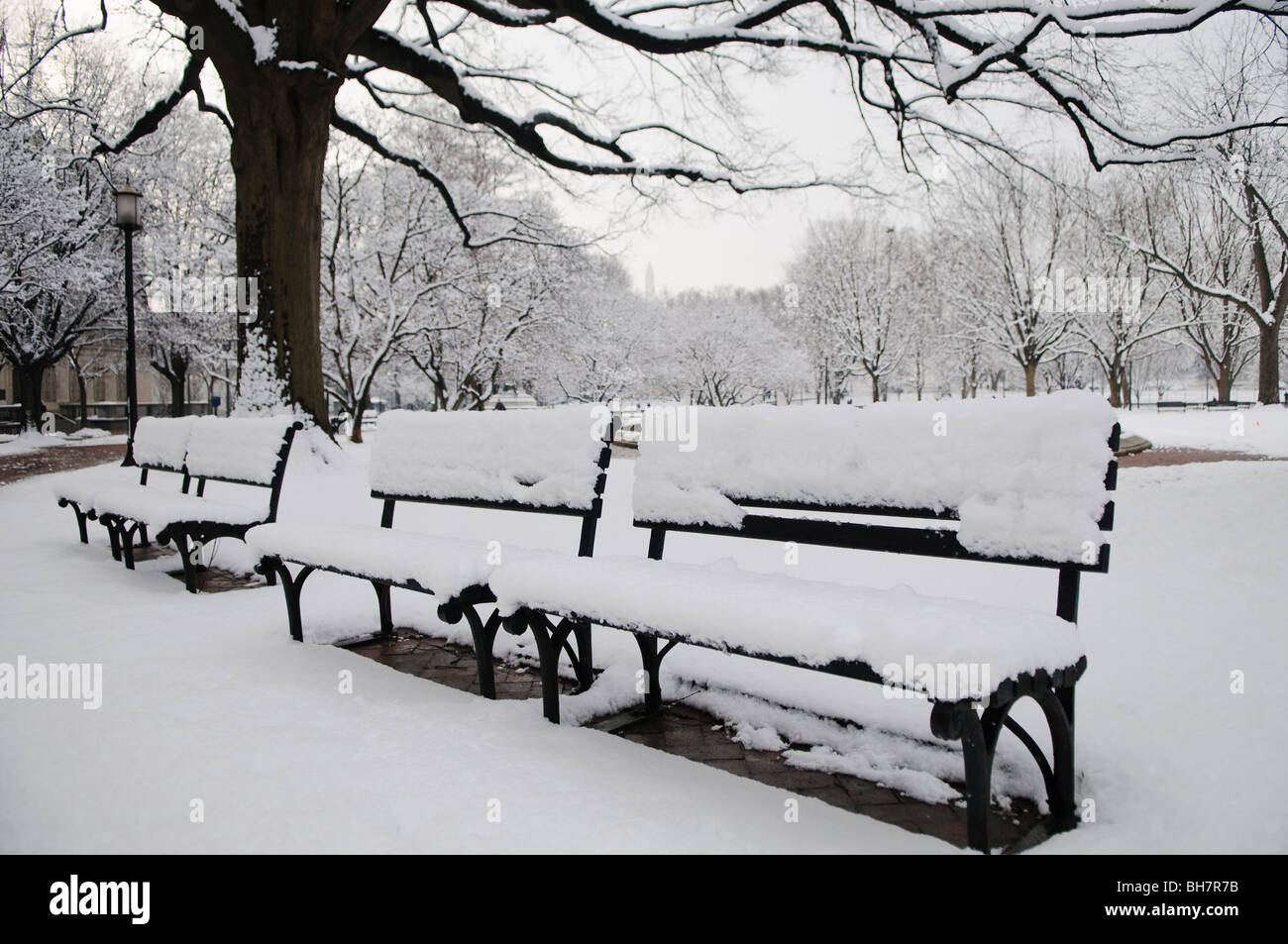 WASHINGTON DC, USA - Park benches in Lafayette Park opposite the White House in Washington DC covered in a thick layer of snow from a recent snowstorm. Stock Photo