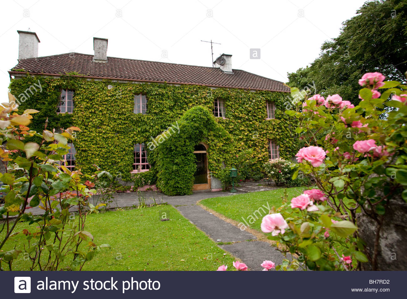 Irish Cottage Garden High Resolution Stock Photography and Images - Alamy