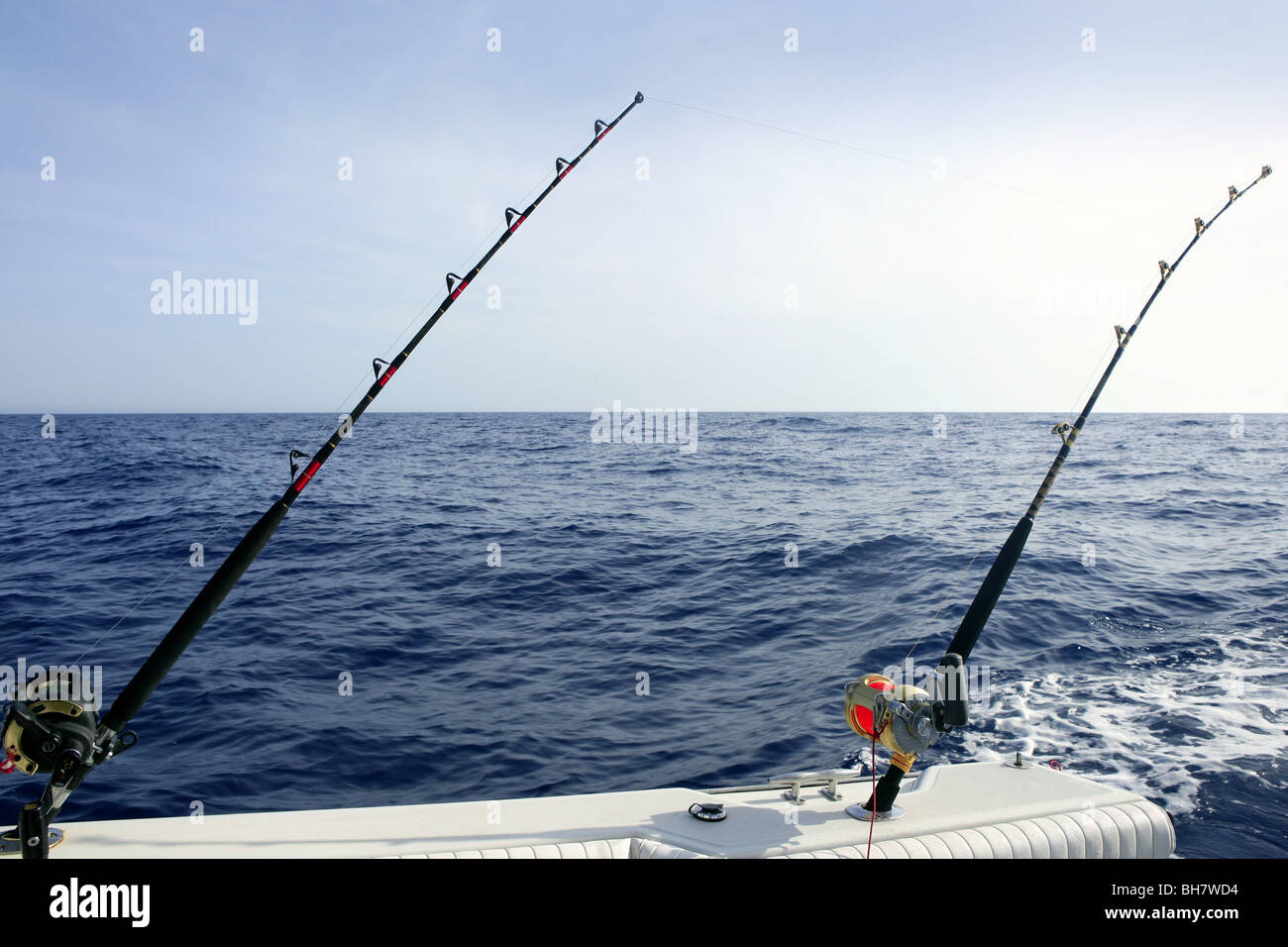 Blue marlin fishing hi-res stock photography and images - Page 12 - Alamy