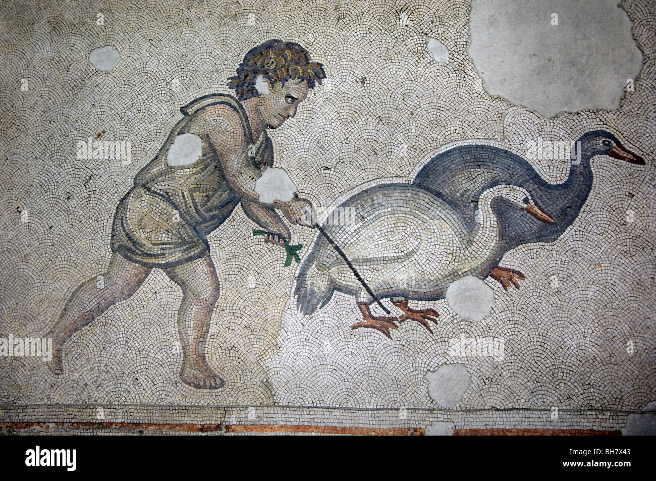 Mosaics Museum, includes many hunting scenes from the Great Palace, Istanbul Stock Photo