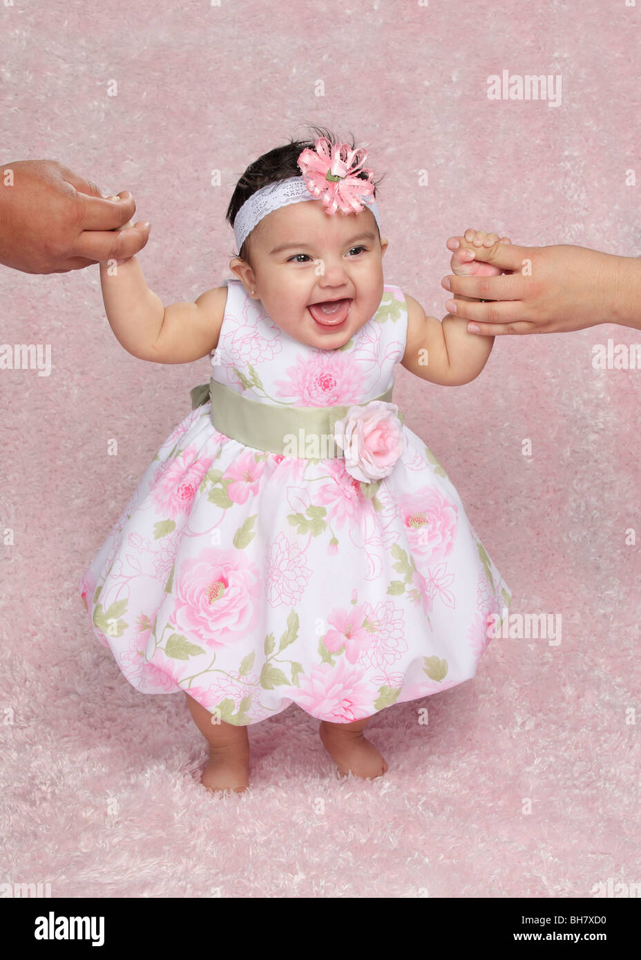 six month old hispanic  baby girl standing with help from parents arms on pink studio backdrop Stock Photo