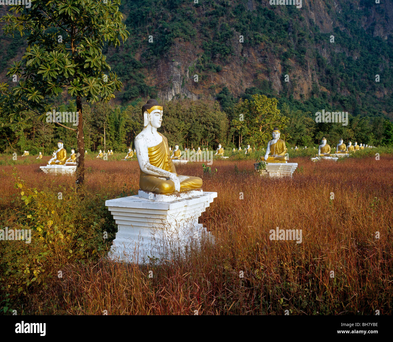 some of 1150 identical Buddha images at the base of Mount Zwegabin Myanmar Burma einige der 1150 identischen Buddhafiguren Stock Photo