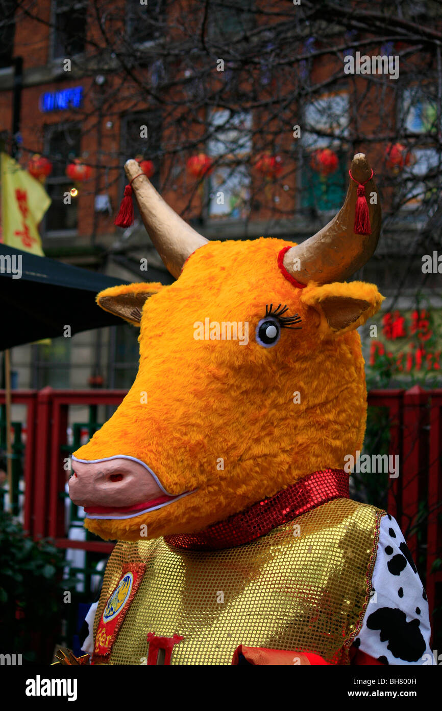 what year is the ox in chinese new year