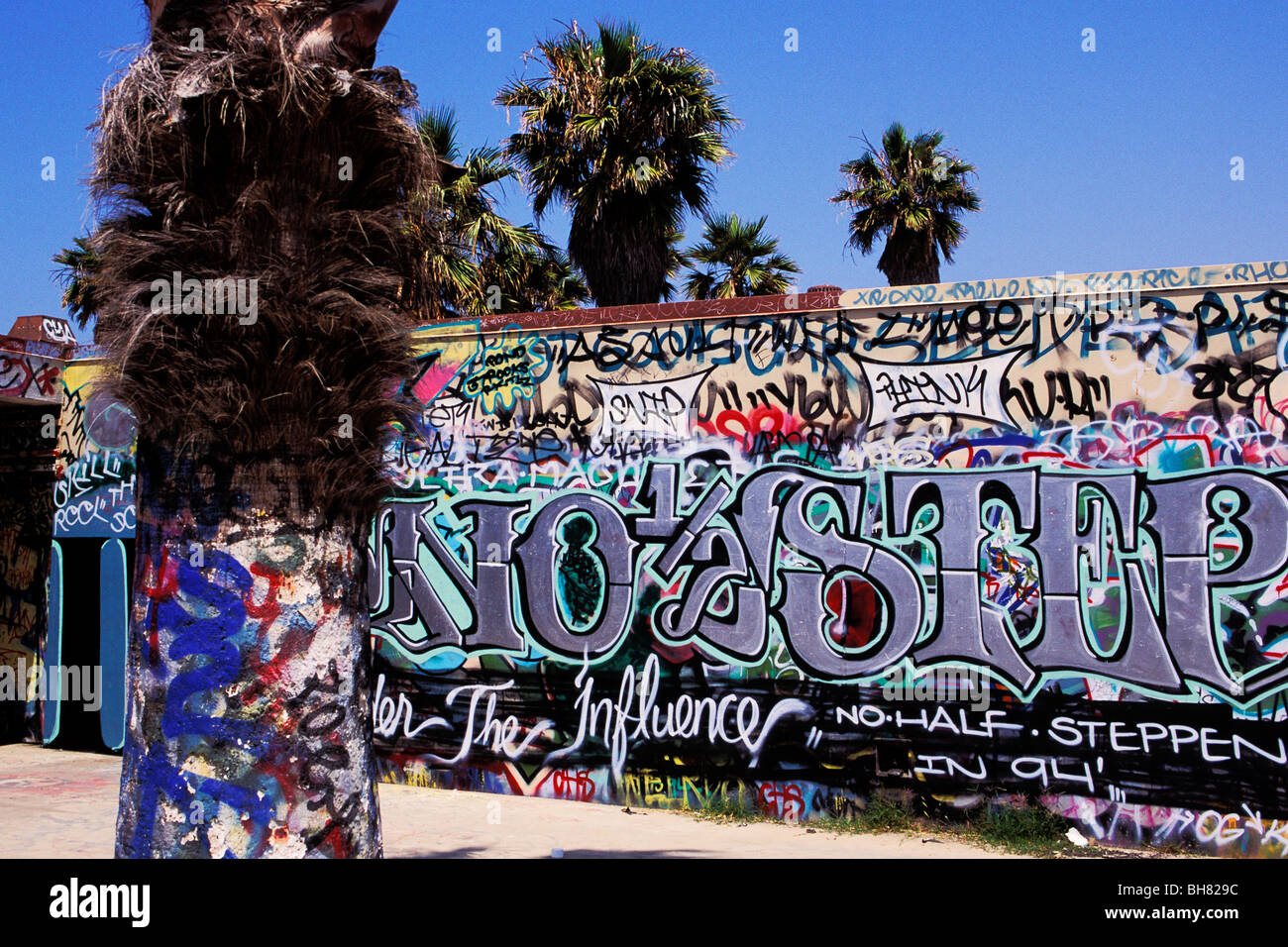 Gang Murals Venice Beach, Los Angeles, California Stock Photo 27836968