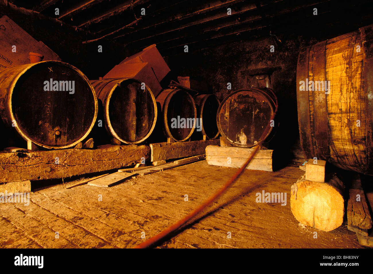 CASK OF CIDER IN A CELLAR, NORMANDY, ORNE (61), FRANCE Stock Photo Alamy