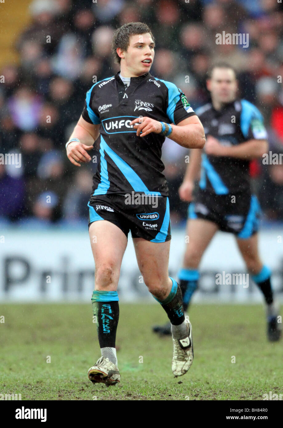 Sale Sharks High Resolution Stock Photography and Images Alamy