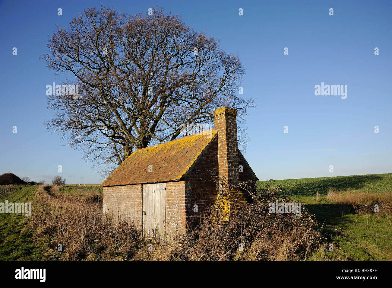 winter landscape Romney marsh  lookers hut Stock Photo