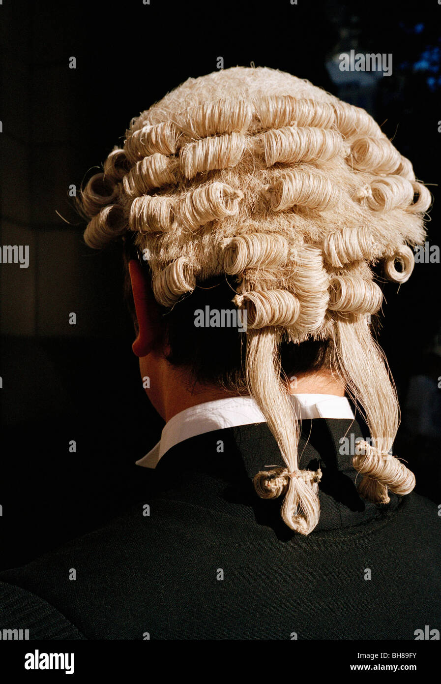 Rear view of a barrister wearing a wig Stock Photo