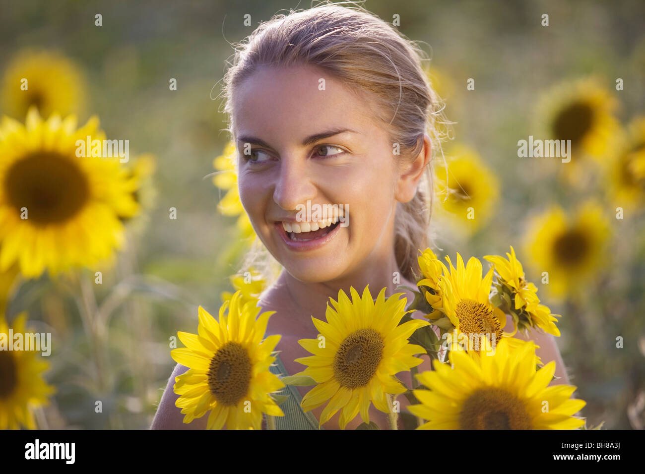 A woman in a sunflower field, portrait Stock Photo - Alamy