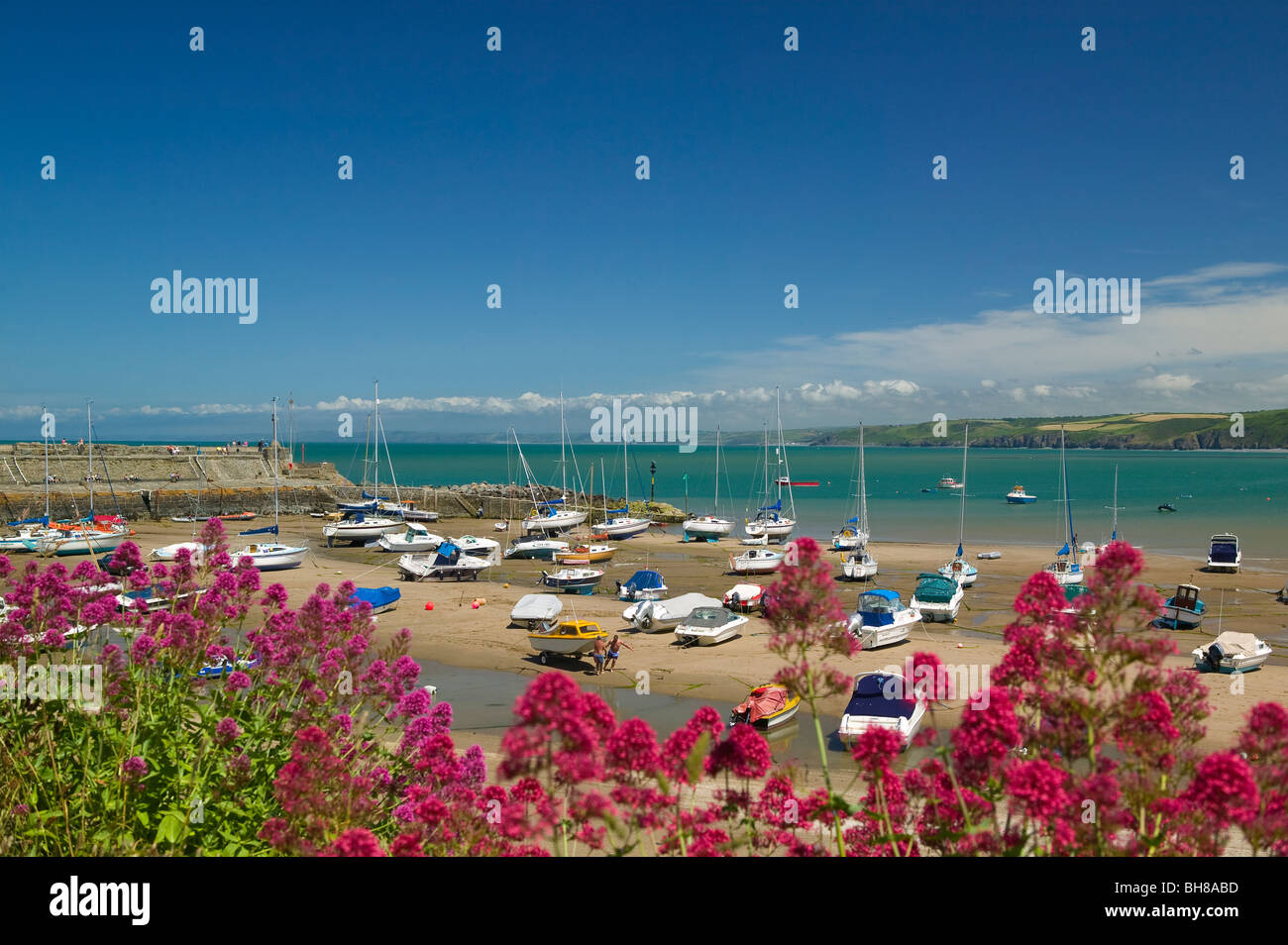New Quay Ceredigion Wales Stock Photo Alamy