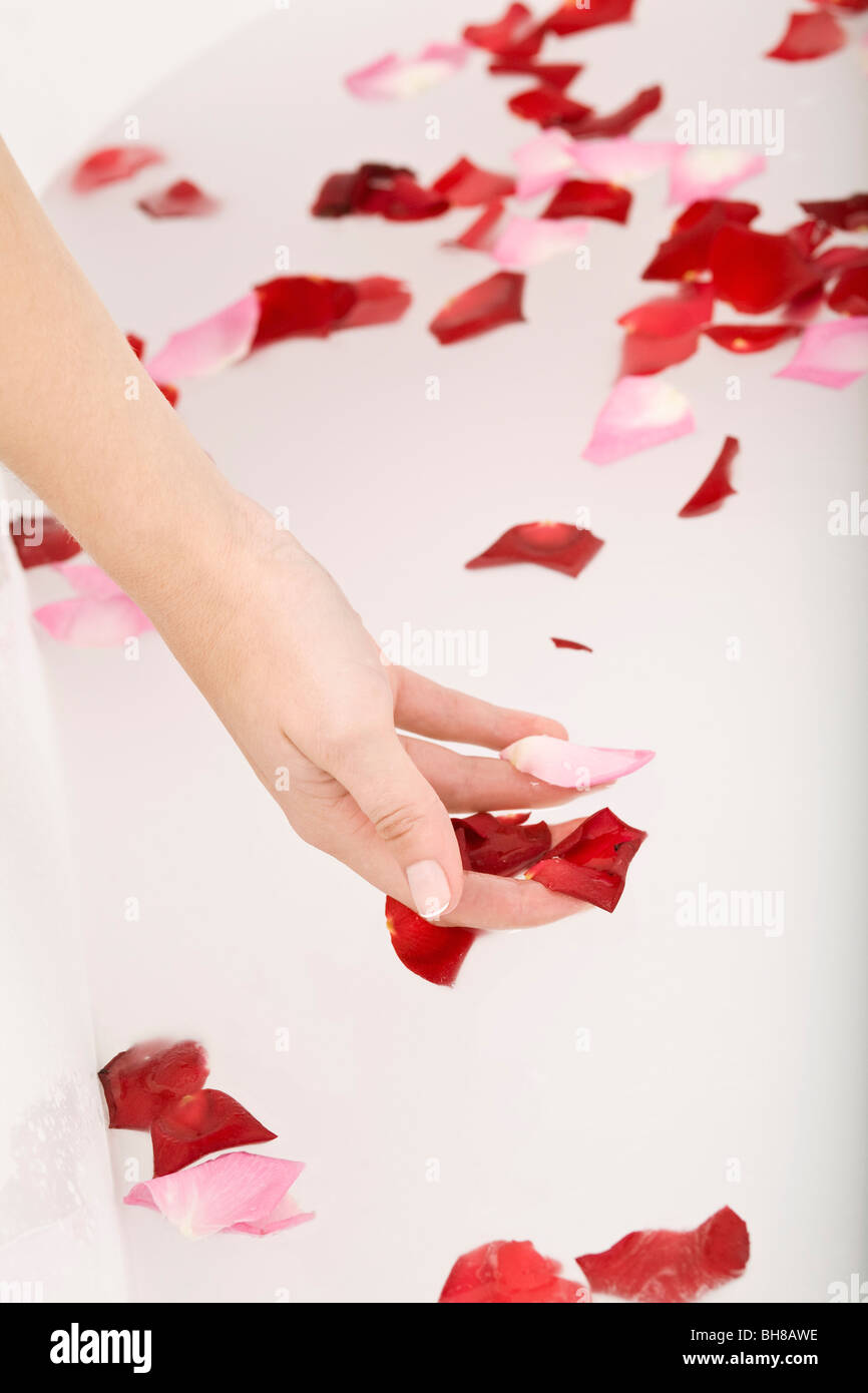 A woman holding rose petals from a bathtub, close-up of hand Stock Photo