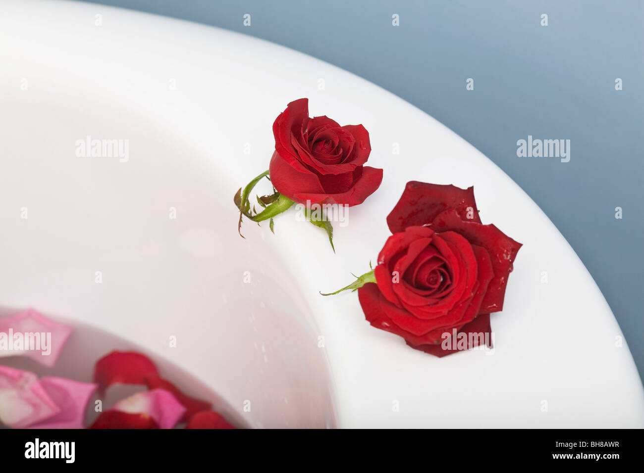 Two roses on the edge of a bathtub Stock Photo