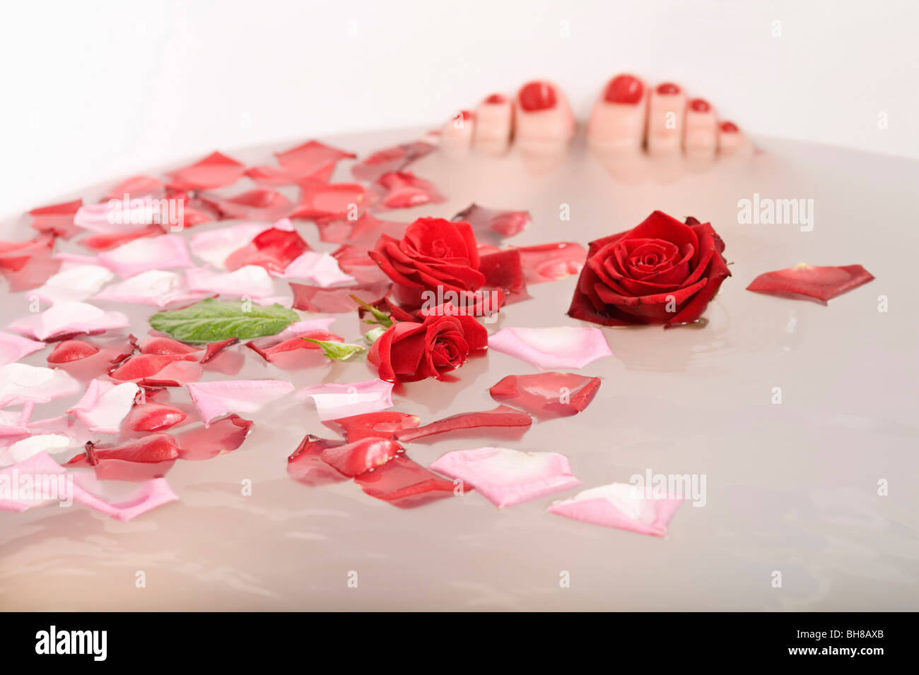 Toes poking out of bath water with rose petals and roses floating in it Stock Photo
