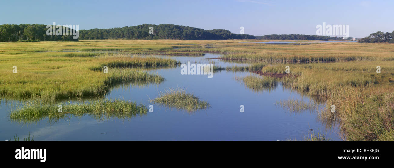 Salt marsh at high tide, Wellfleet, Massachusetts, U.S.A. Stock Photo