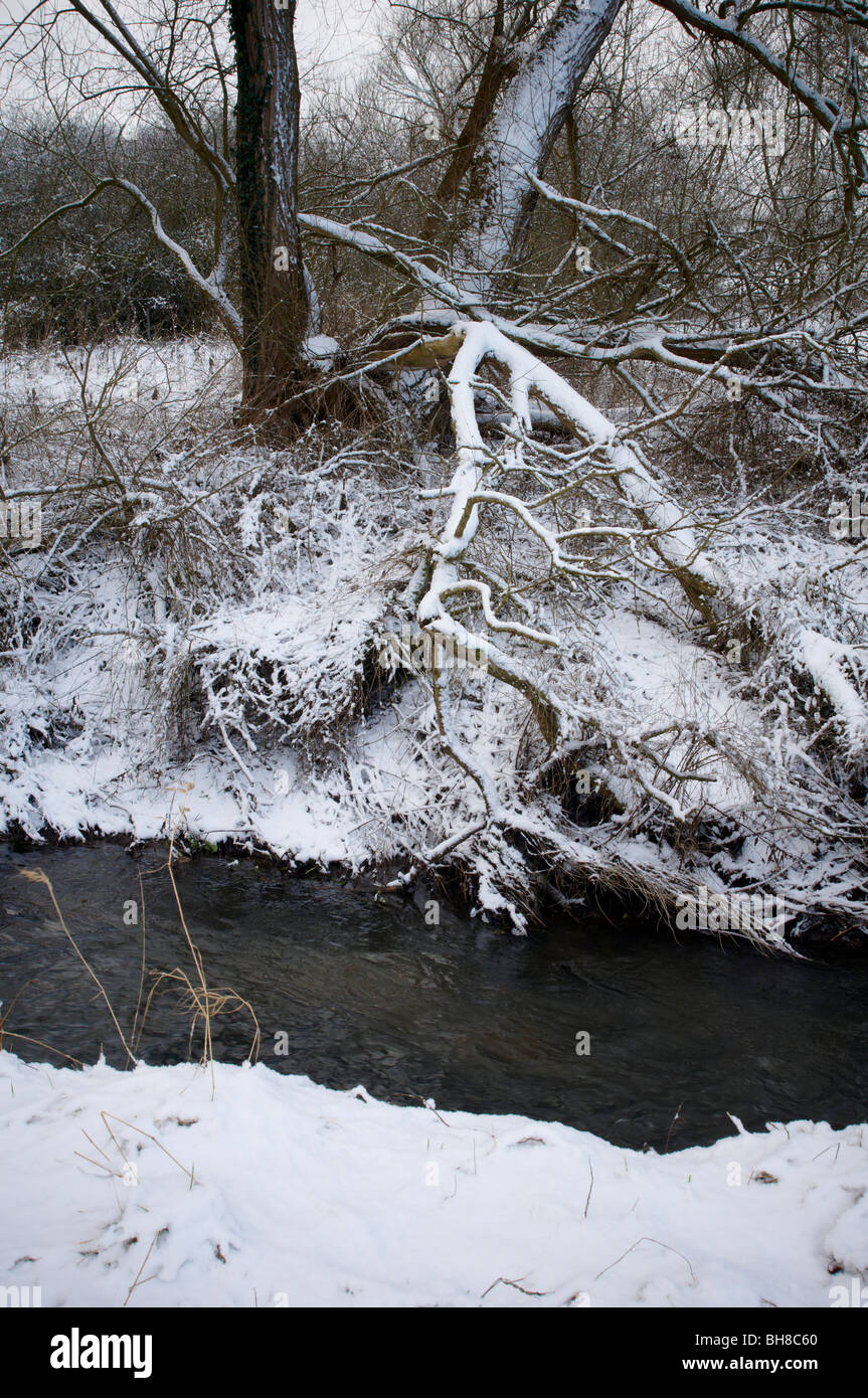 snowy woodland and water scene winter in leicestershire Stock Photo