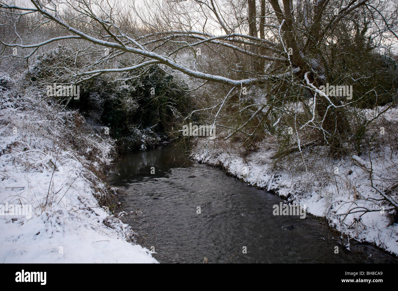 snowy woodland and water scene winter in leicestershire Stock Photo