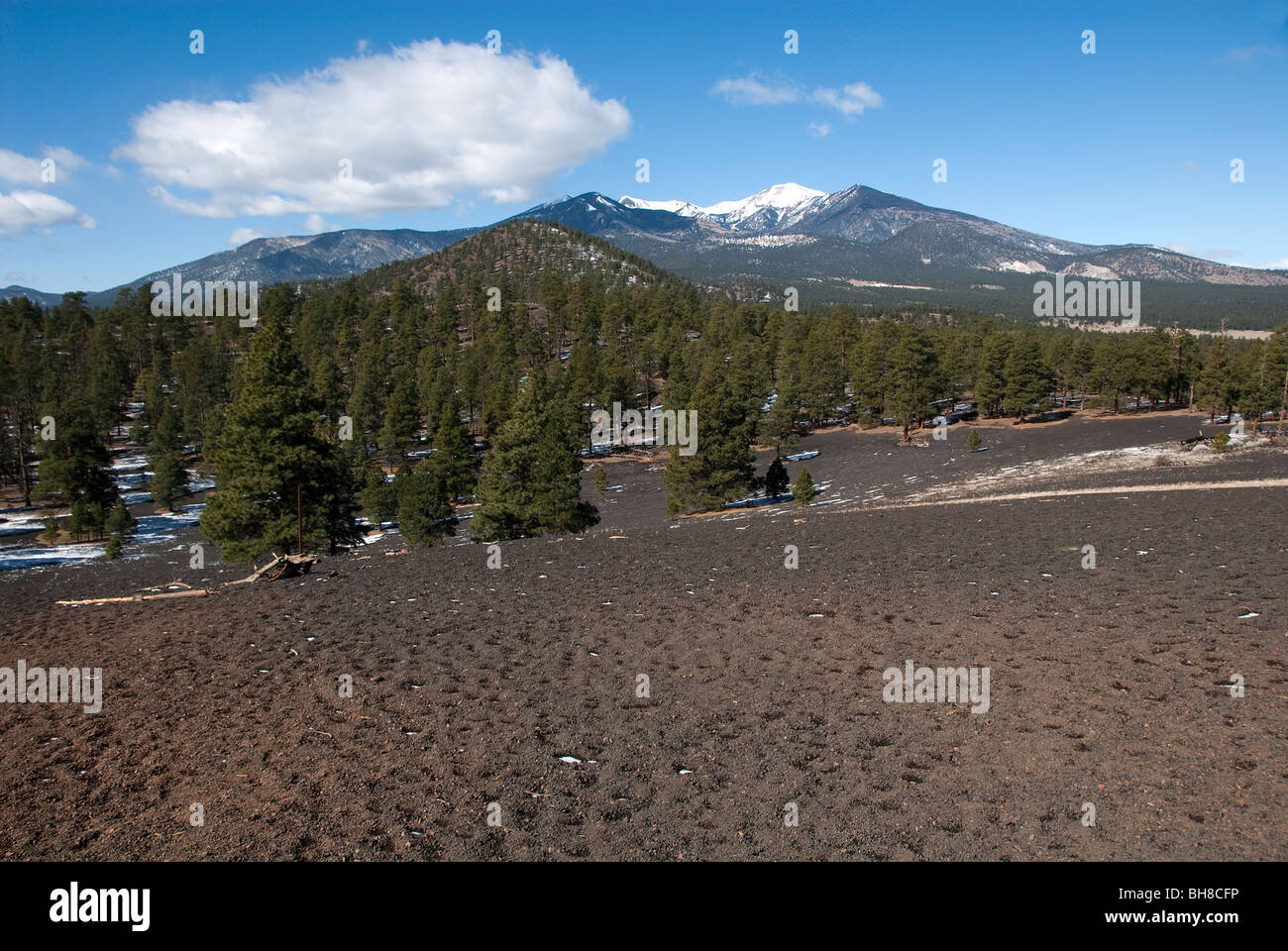 San Francisco Peaks from Lenox Crater Sunset Crater Volcano National Monument Arizona USA Stock Photo