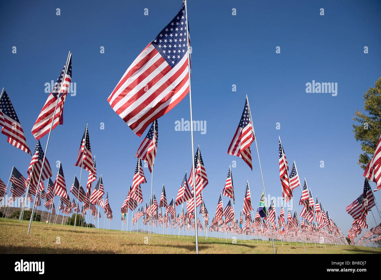 Malibu flag hi-res stock photography and images - Alamy