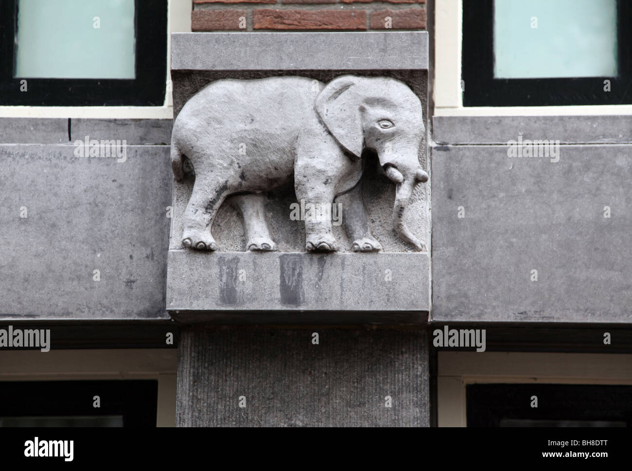 Elephant gracing wall Stock Photo