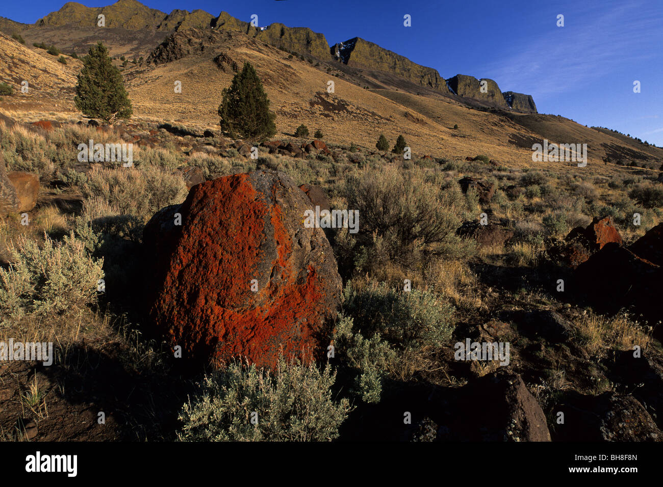 High desert, near Lake Abert Stock Photo