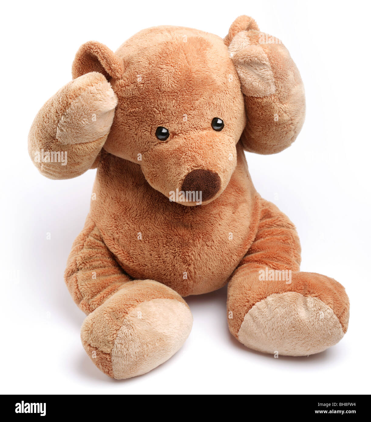 Teddy bear in a worry. Isolated over white. Stock Photo