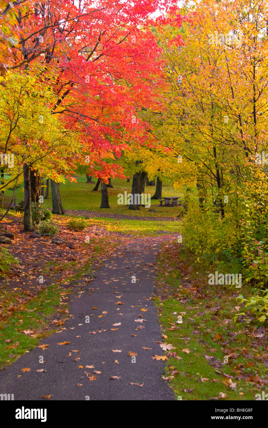 Fall colors in Enger Tower Park, Duluth, Minnesota Stock Photo Alamy