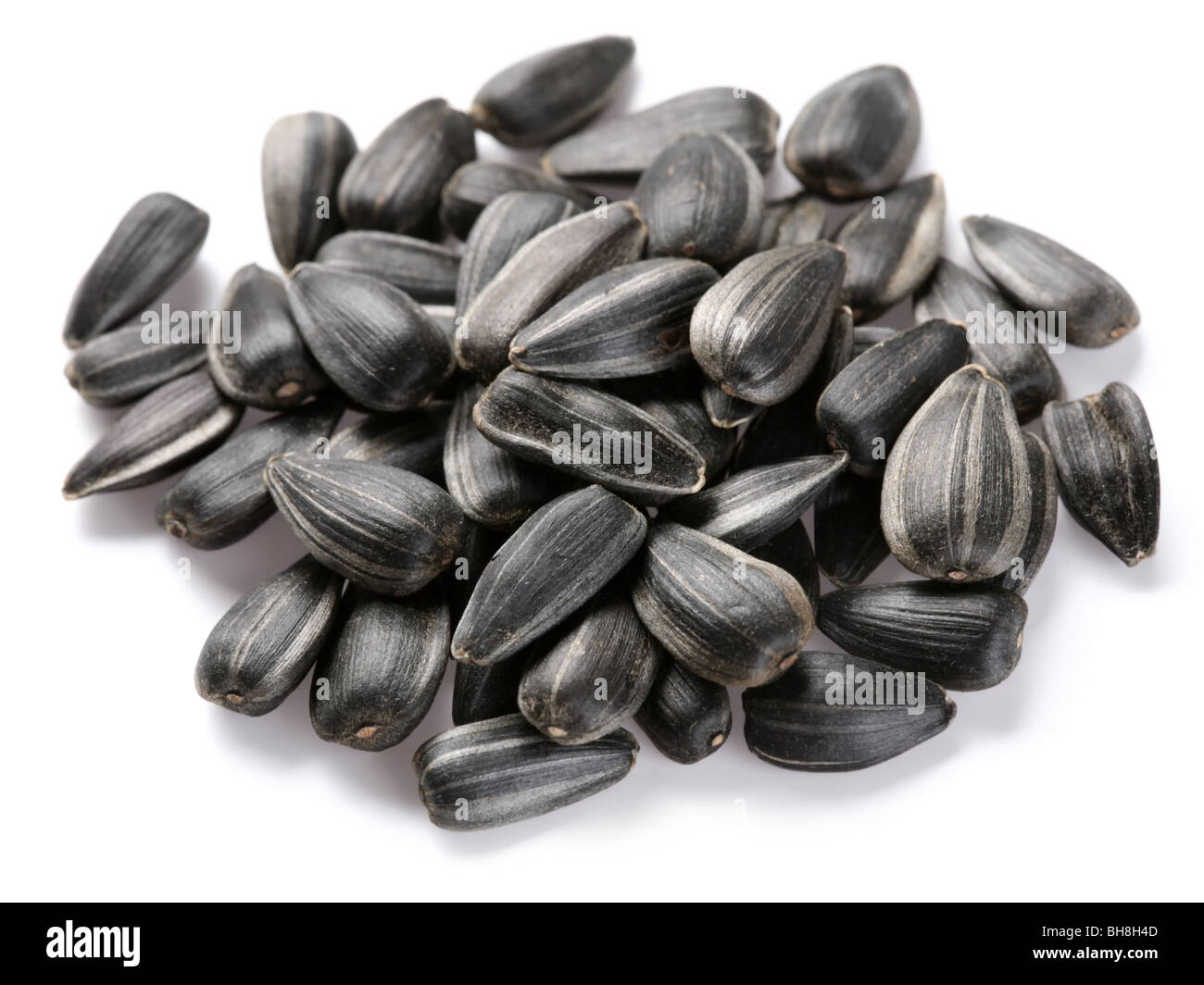 Sunflower seeds on a white background Stock Photo