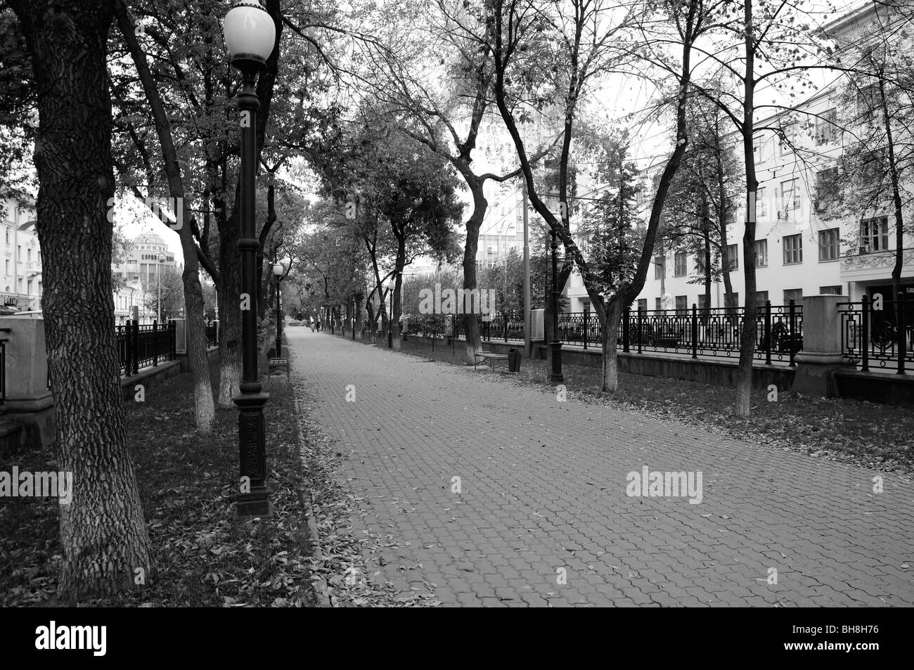 Central alley of the Lenin's avenue. Ekaterinburg city series. Stock Photo