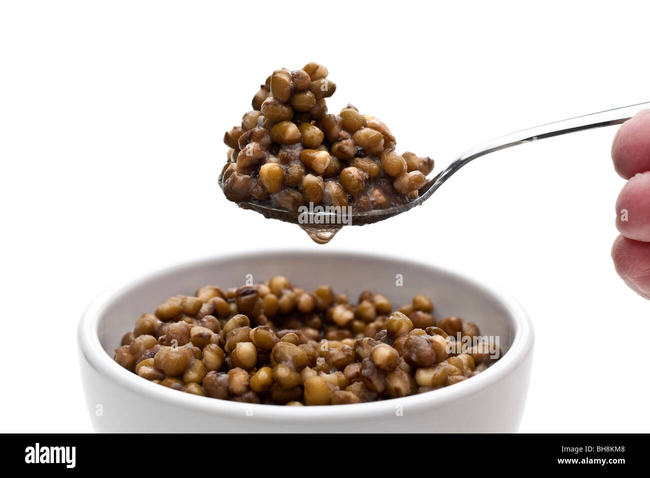 Dish and spoon full of cooked Mung beans in water Stock Photo