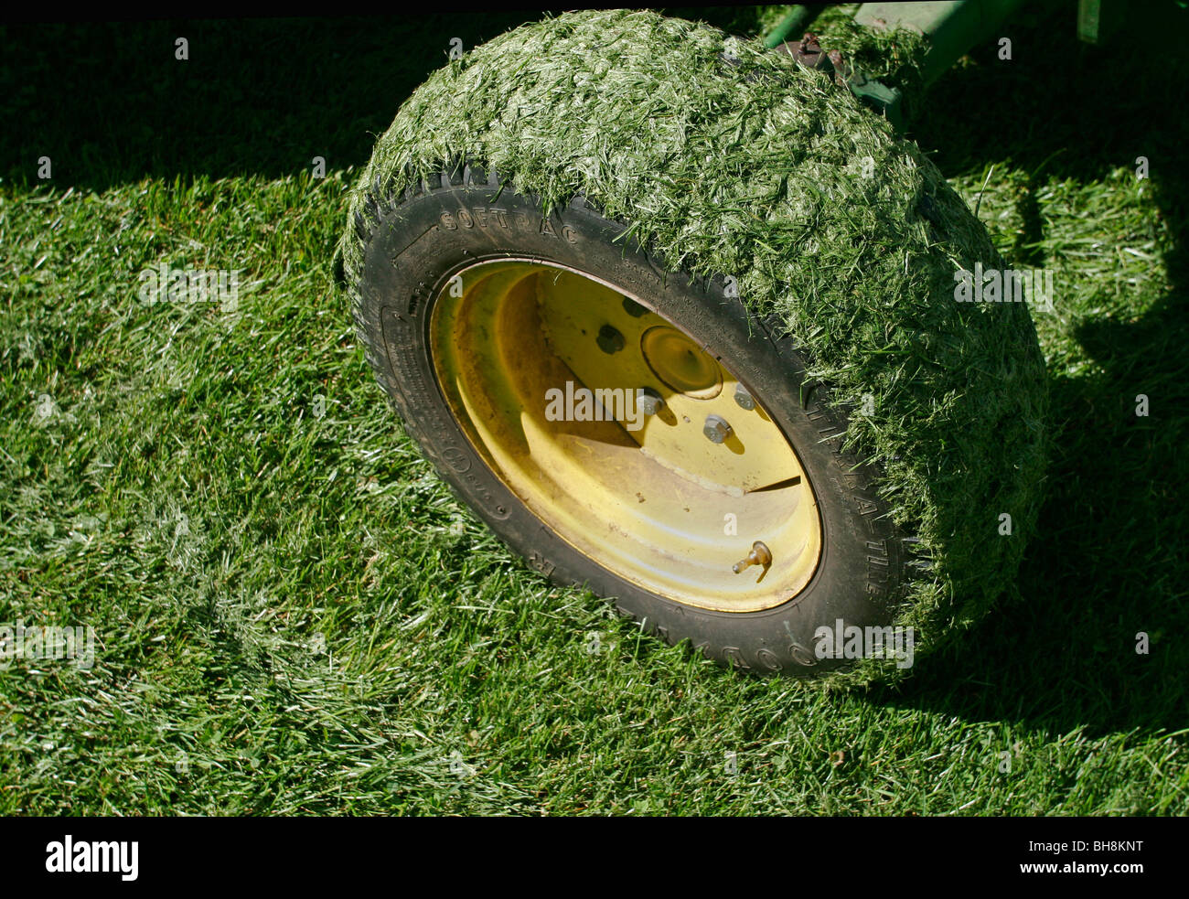 fresh cut grass on lawn mower wheel Stock Photo