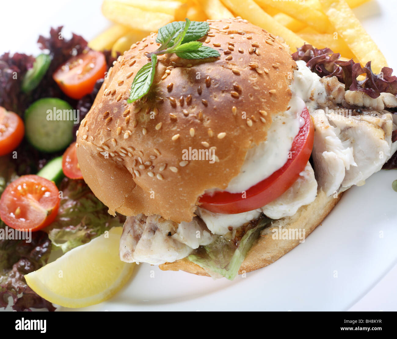 A fried fish fillet in a burger bun, with lettuce and tomato and topped with a creamy sauce. Stock Photo