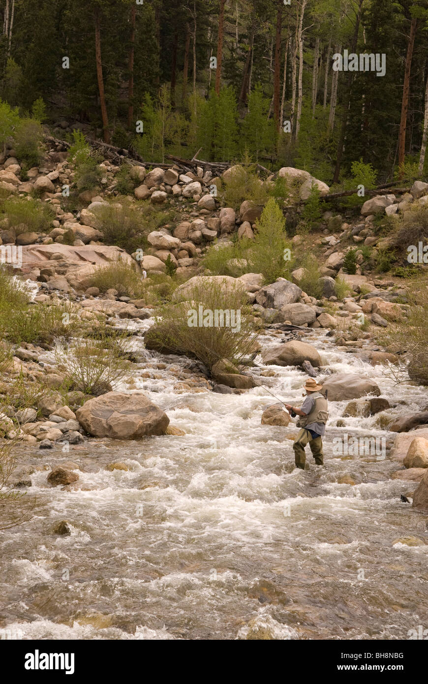 Fly fishing Rocky Mountain National Park Stock Photo Alamy