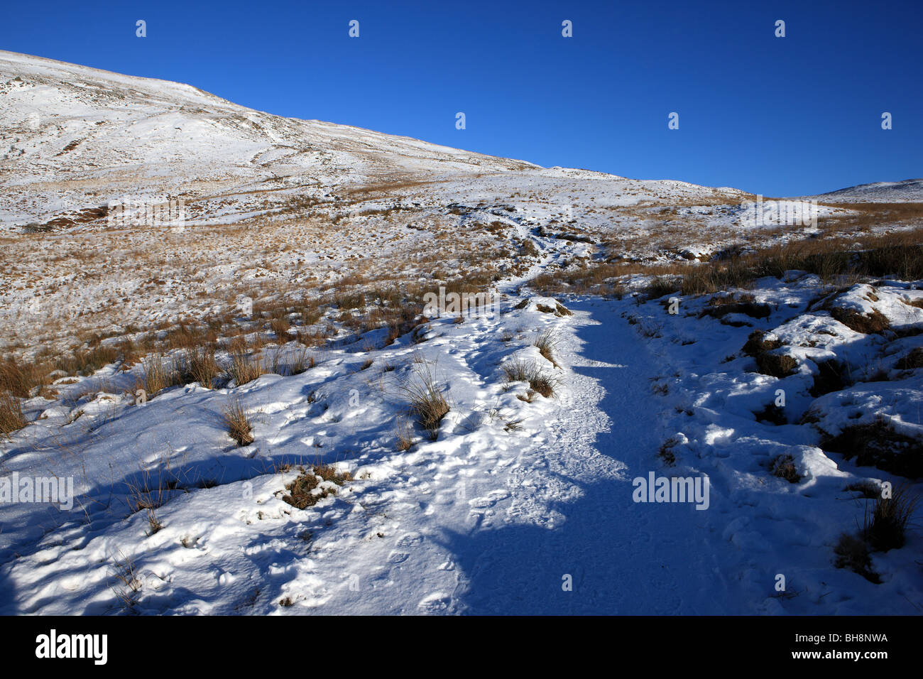 Ben lomond snow hires stock photography and images Alamy